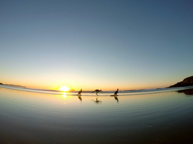 Solitary Islands Surf School - Woolgoolga and Sawtell