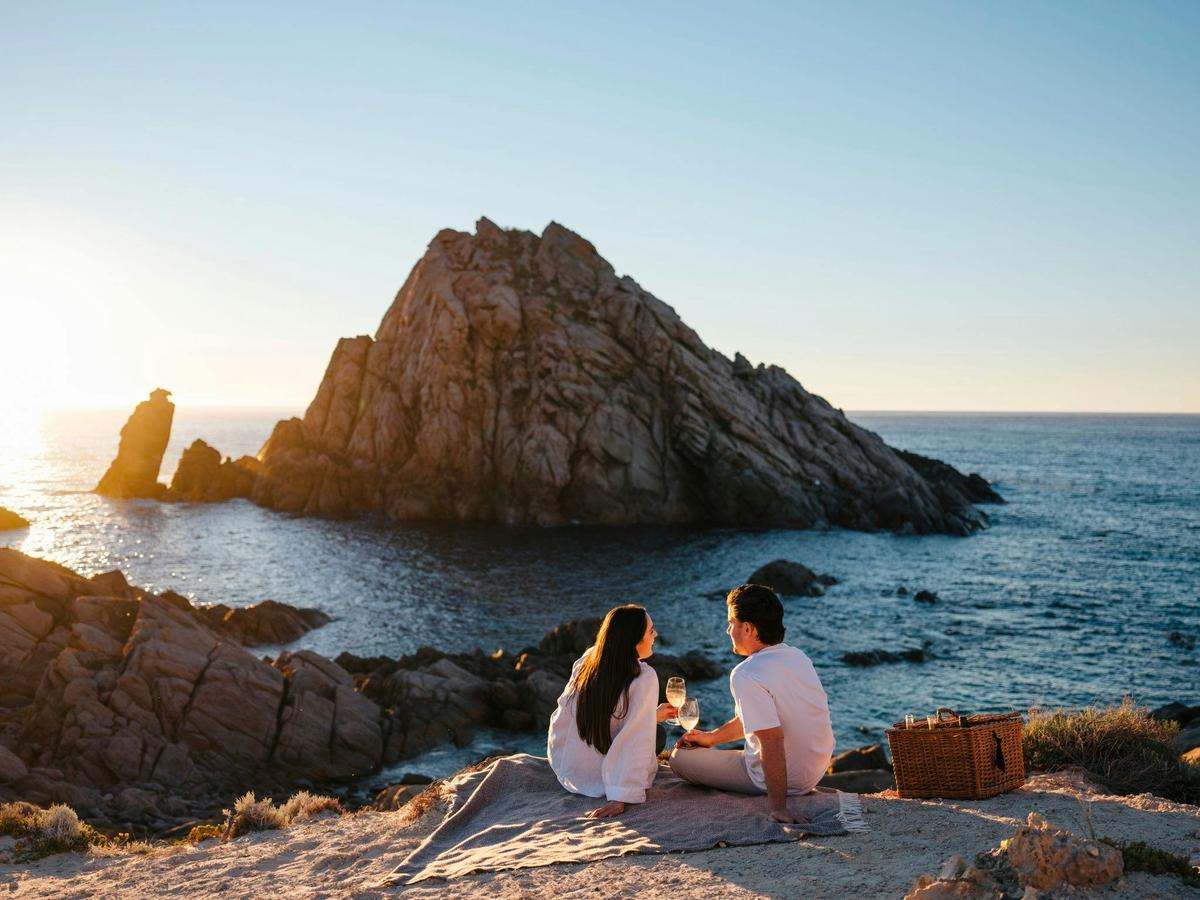 Secret Picnic Adventures