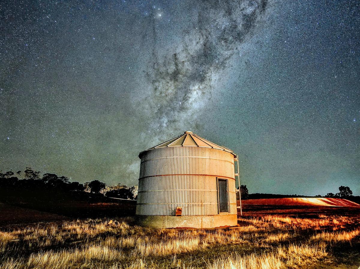 Perth Wildlife Tour Under the Stars