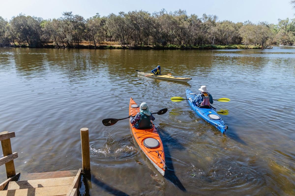 Kayakers on the Serpentine River