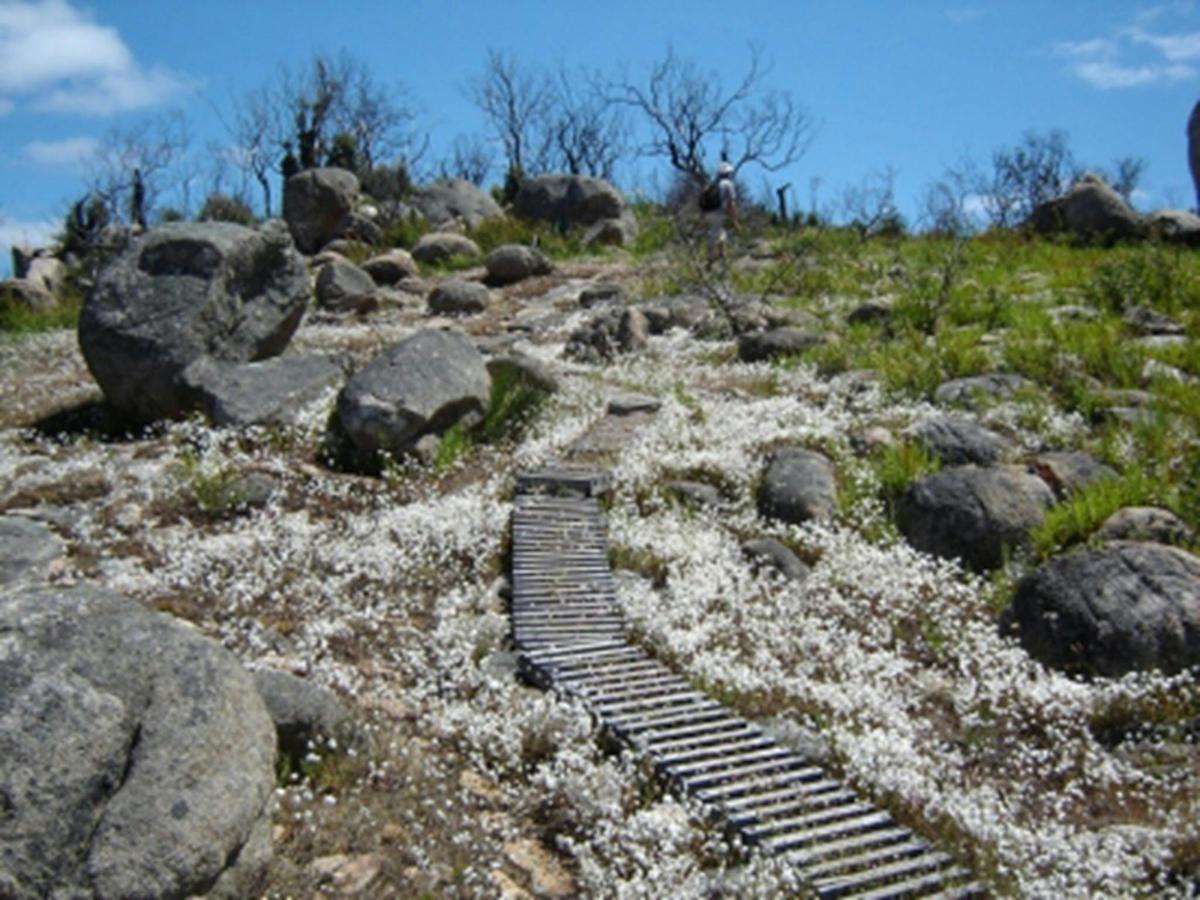 Southern End of Mt Cooke