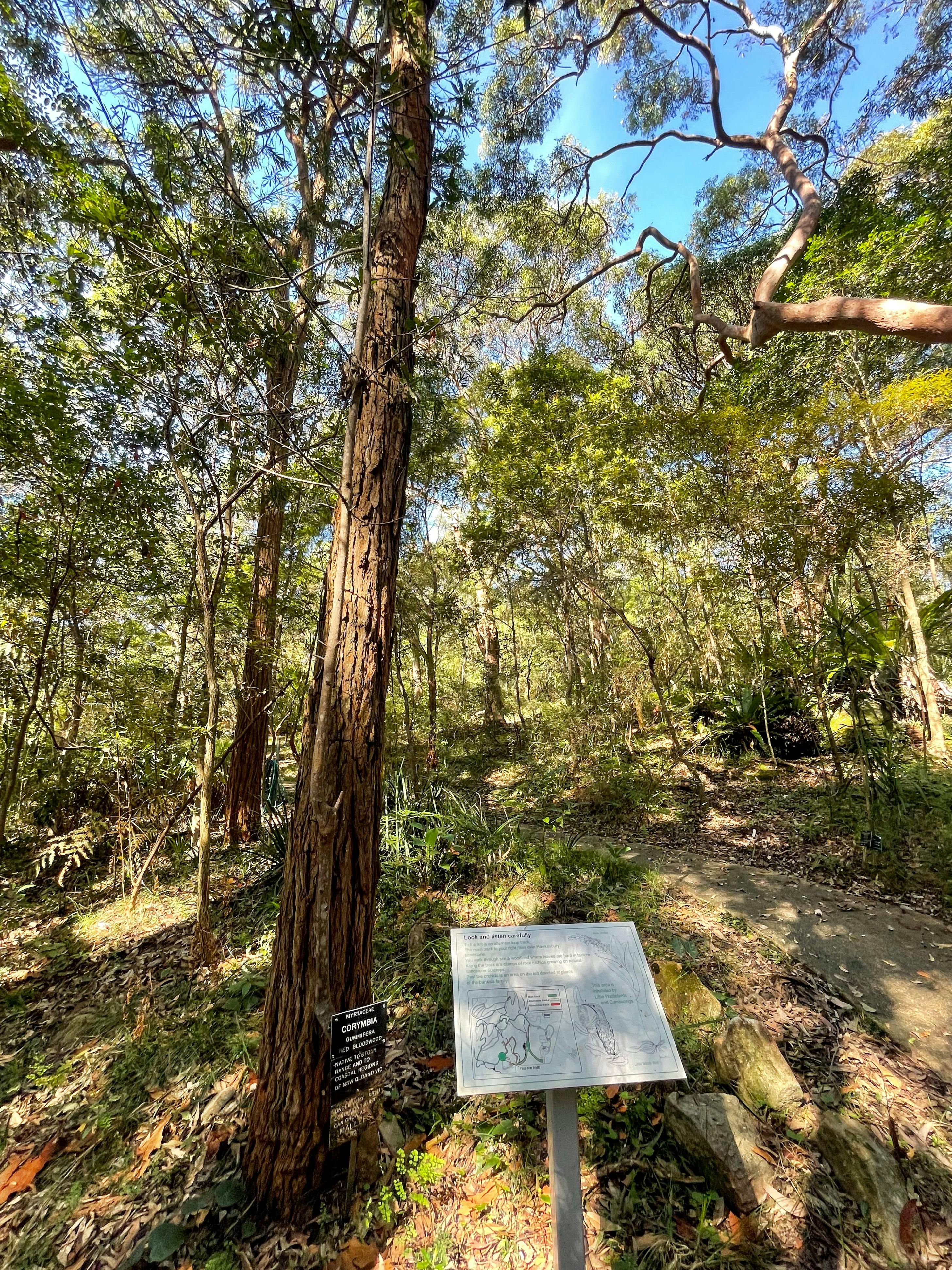 Explore Stony Range Botanical gardens