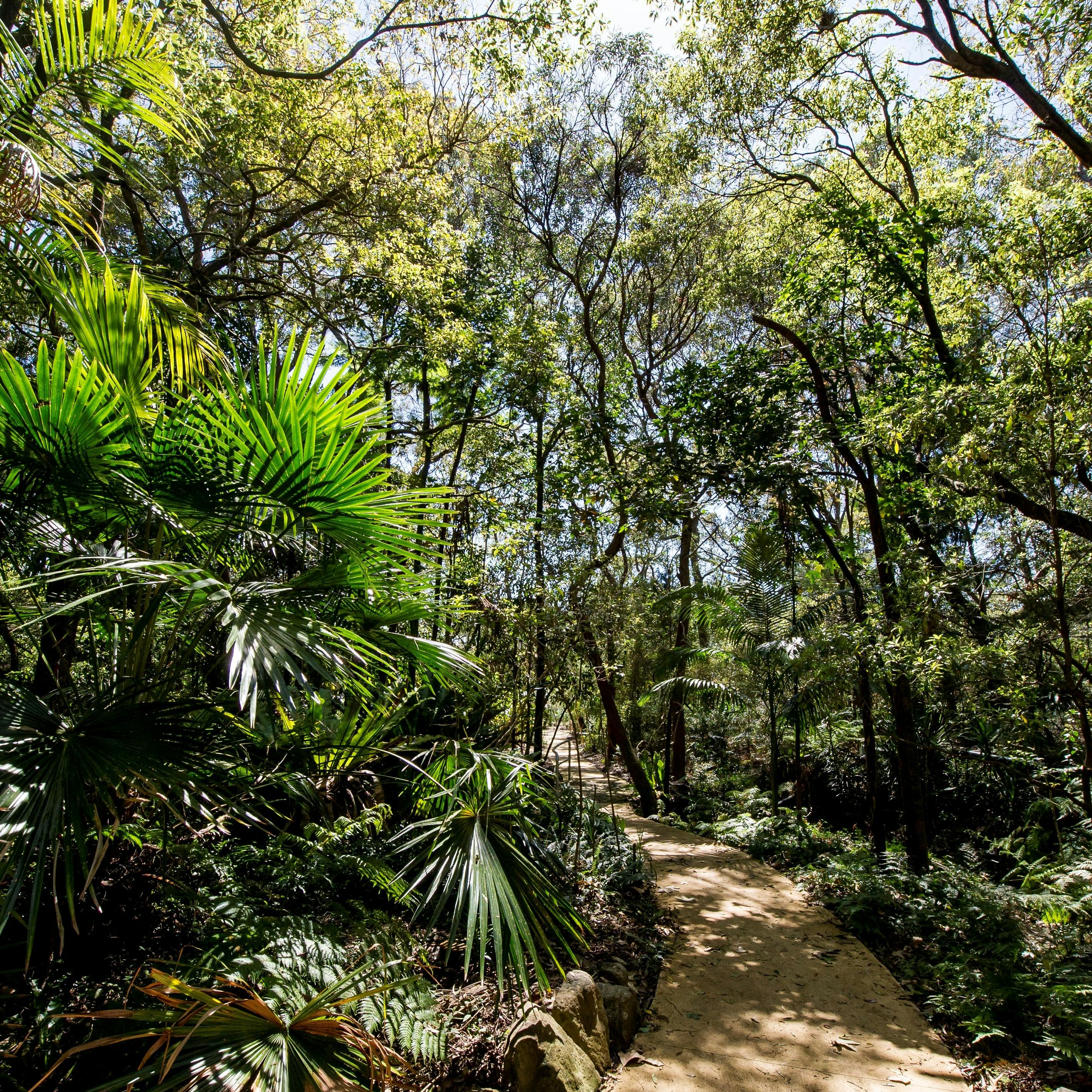 Stony Range Botanical Garden walkway