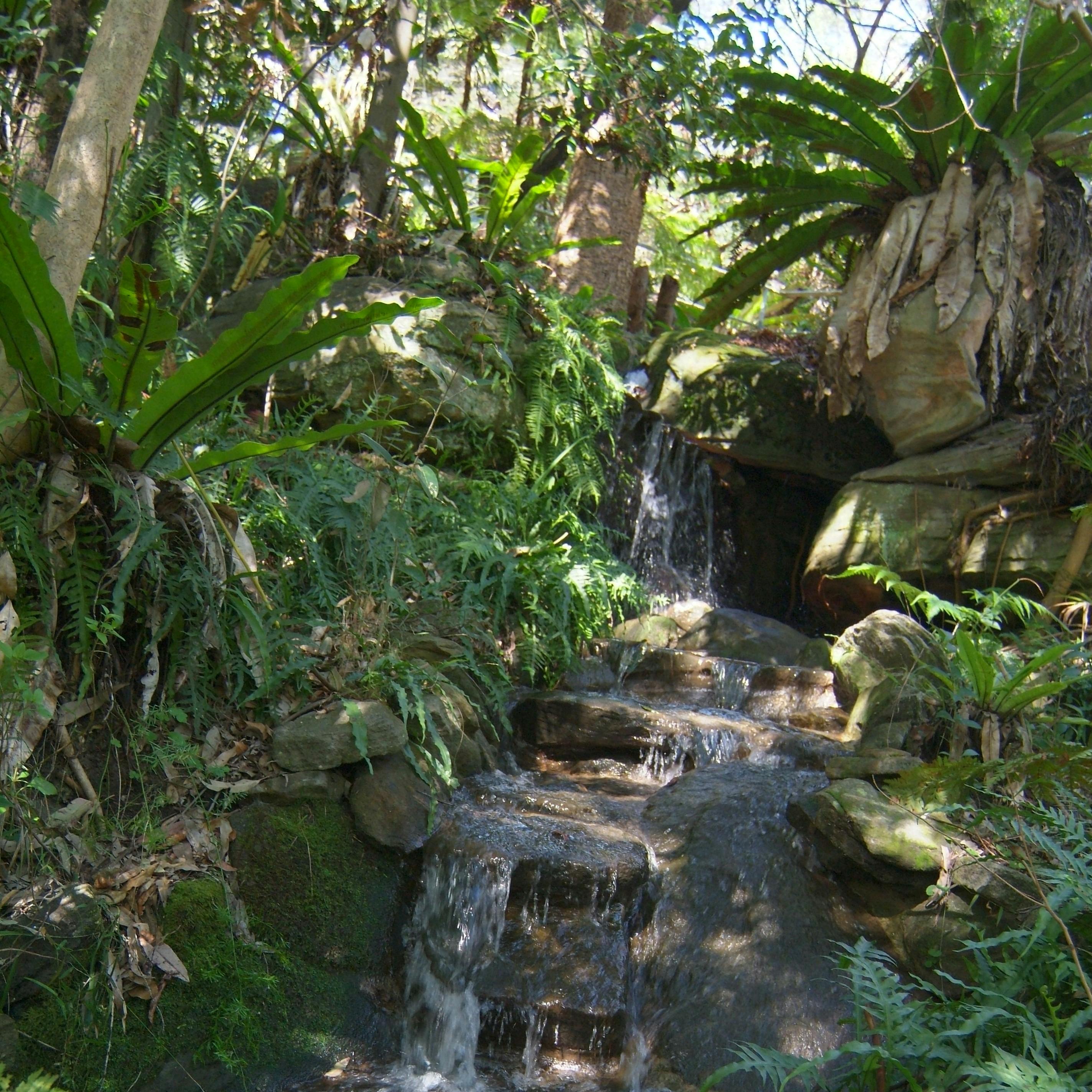 Stony Range Regional Botanical Gardens waterfall