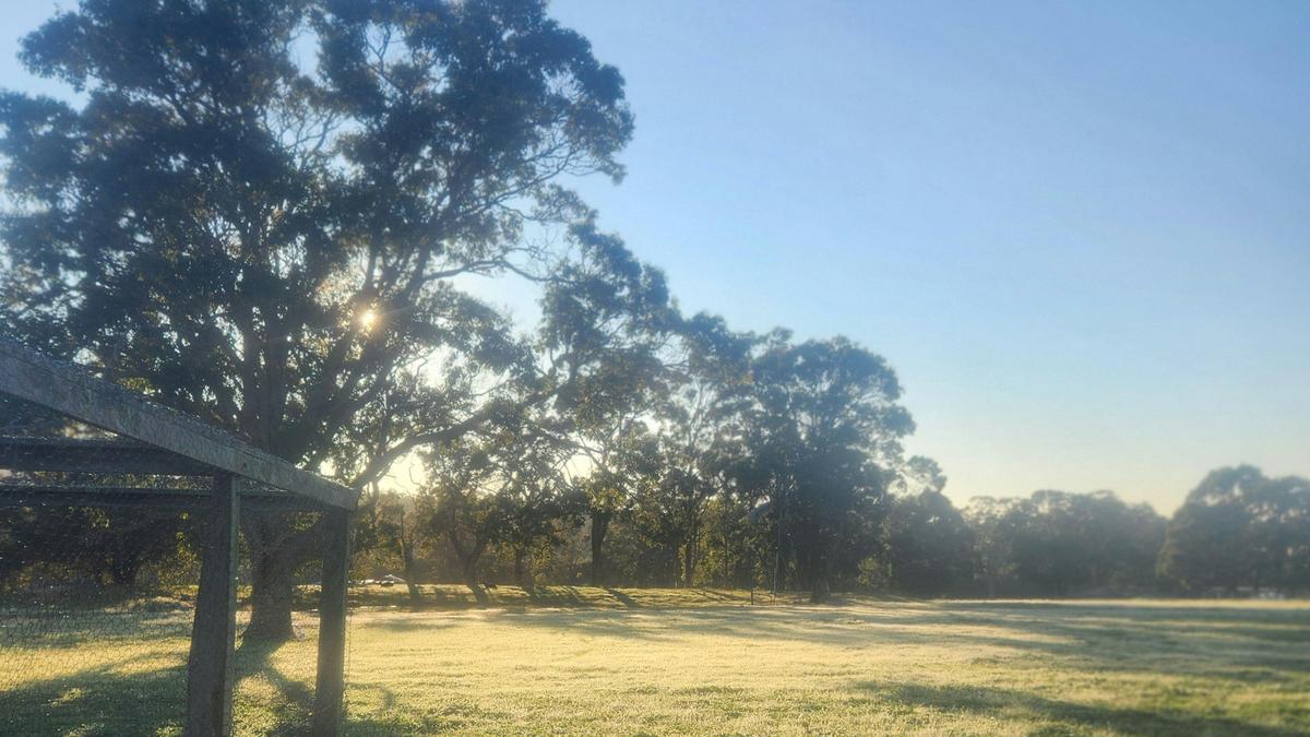 Ridgeview Orchard