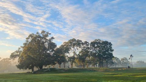 Ridgeview Orchard