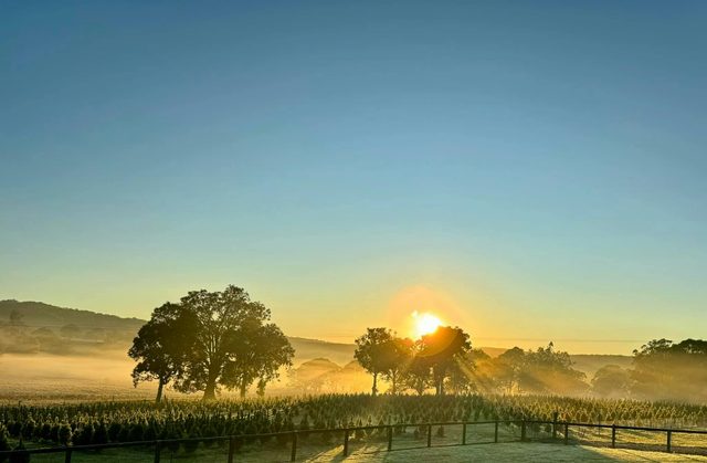 Southern Highlands Christmas Farm