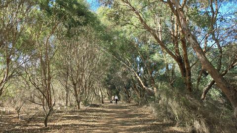 Tamworth Wetlands Loop Trail