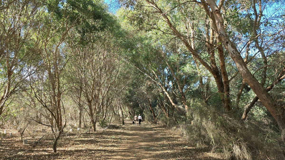 Tamworth Wetlands Loop Trail