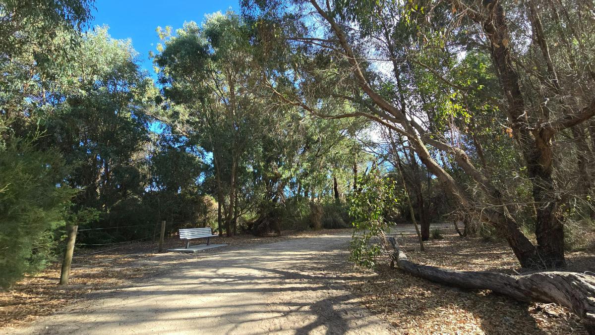 Tamworth Wetlands Loop Trail