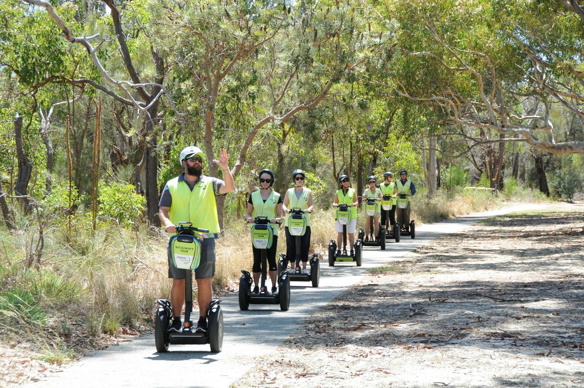 Kings Park Tour