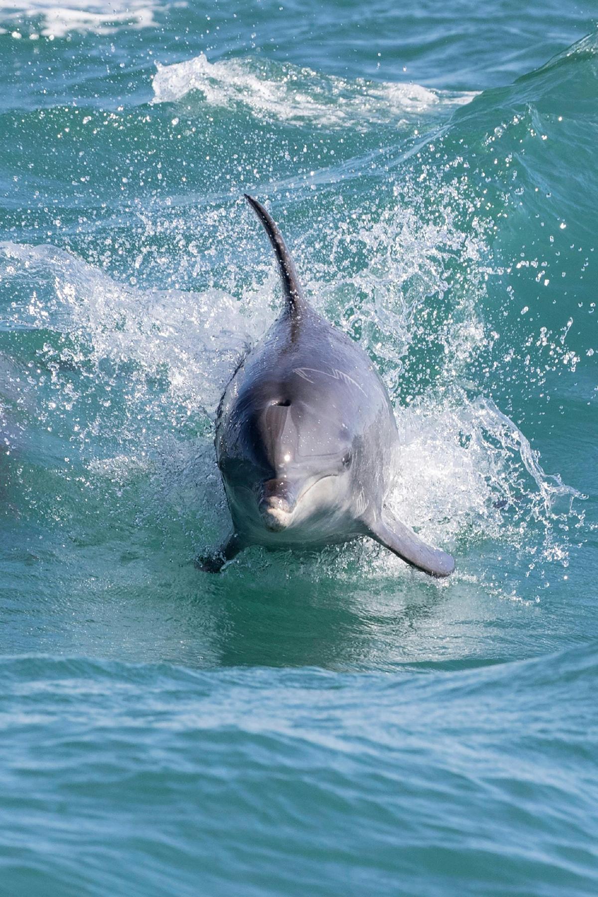 Shoalwater Islands Marine Park