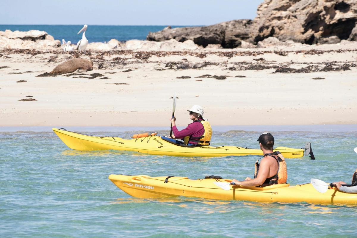 Shoalwater Islands Marine Park