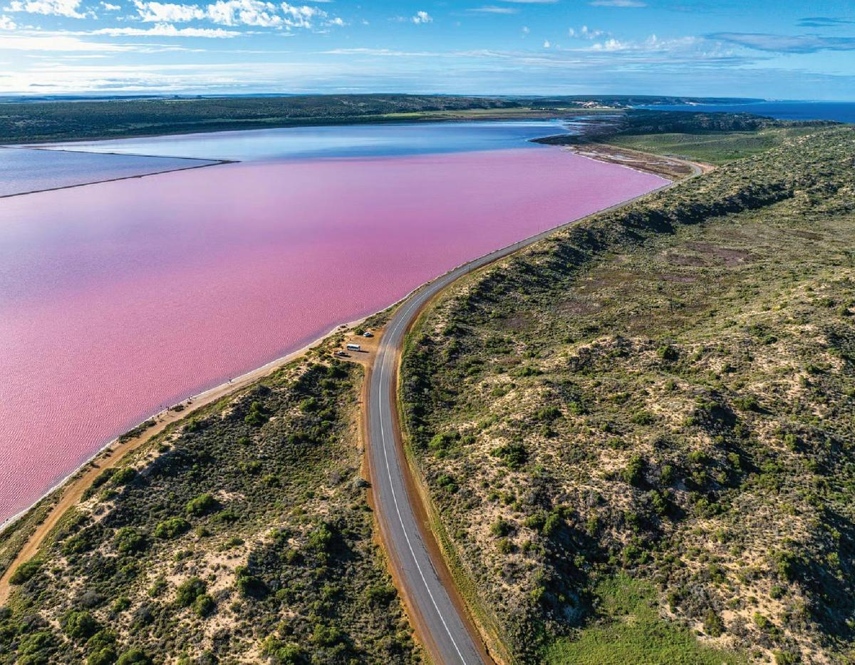 Port Gregory, Hutt Lagoon, Pink Lake