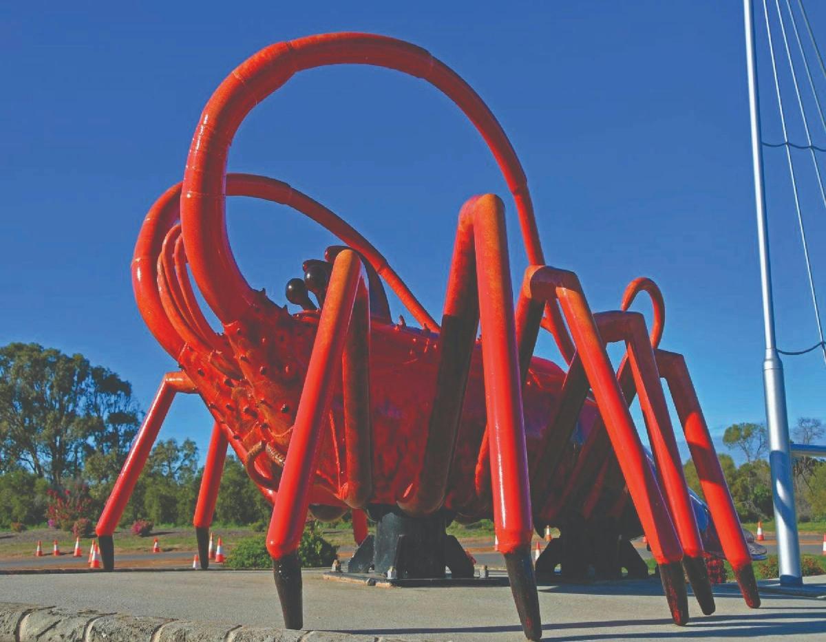 Dongara tour options