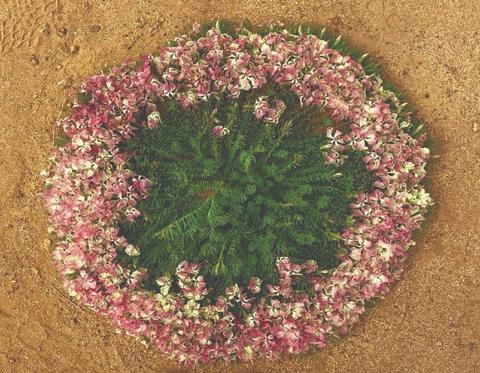 Wild flower seasonal Tours