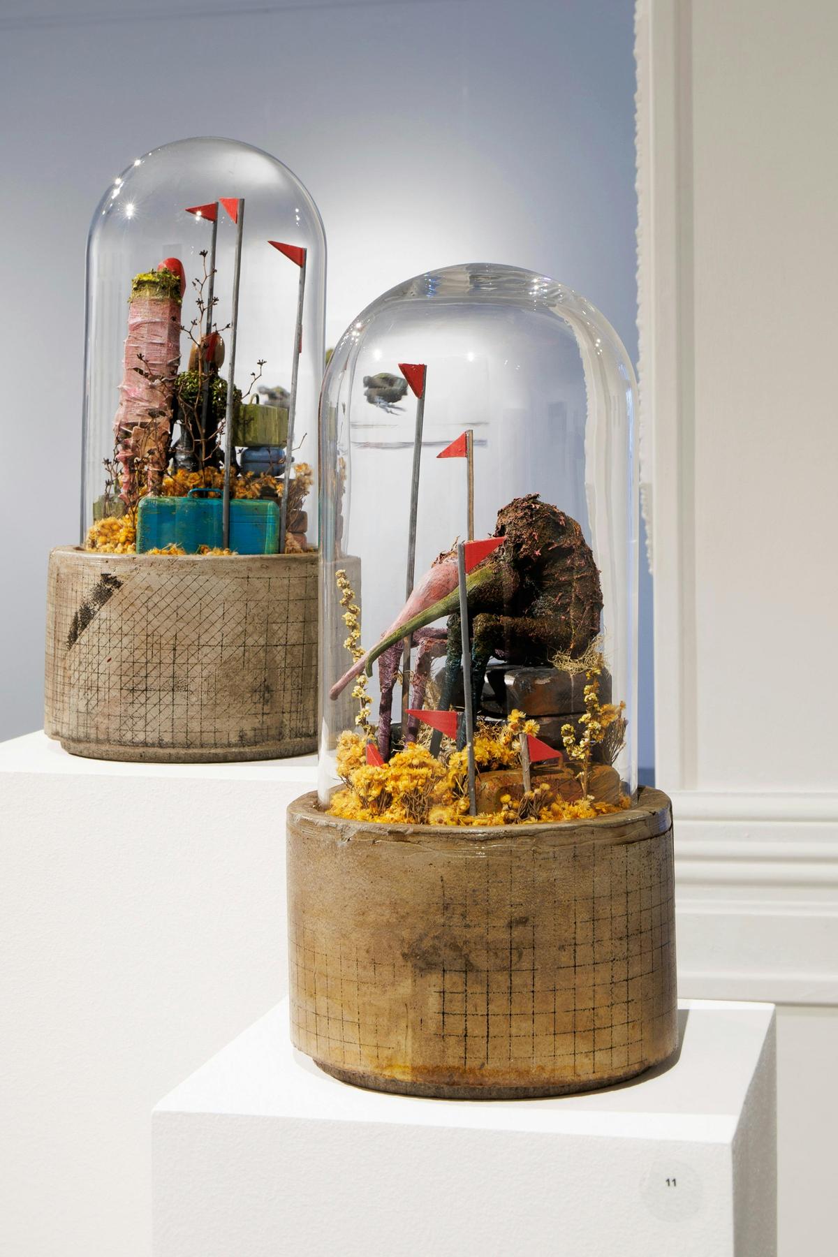 Red Flags Exhibition - 12 January 2024