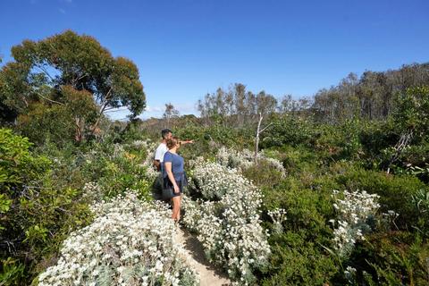 South Pacific Heathland Reserve