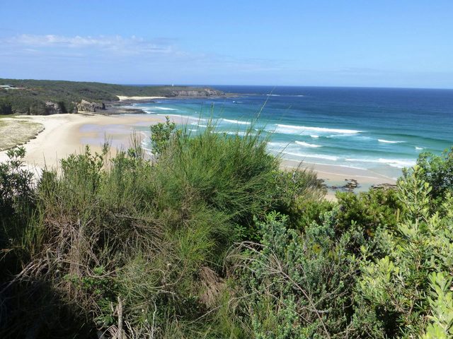 South Pacific Heathland Reserve