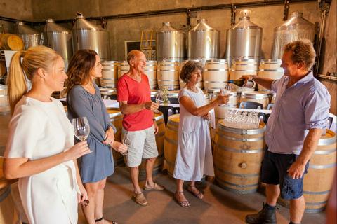 Rosily Vineyard