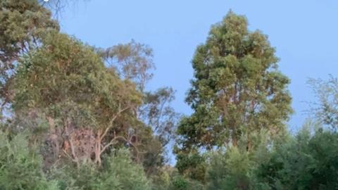 South West Central Bush Block