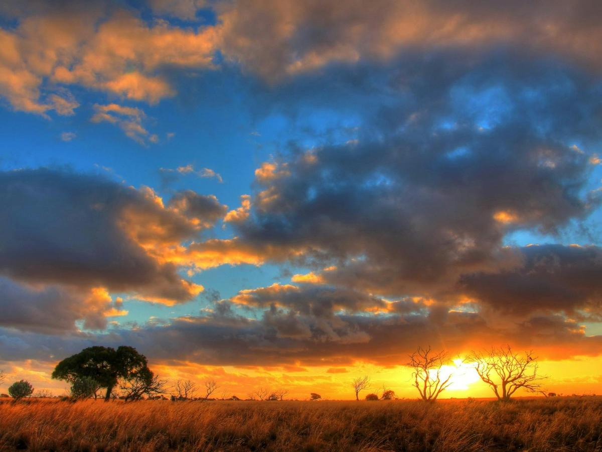 sunset over spinifex plains