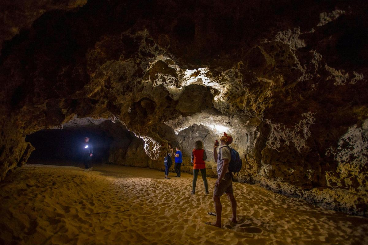 Stockyard Gully Cave