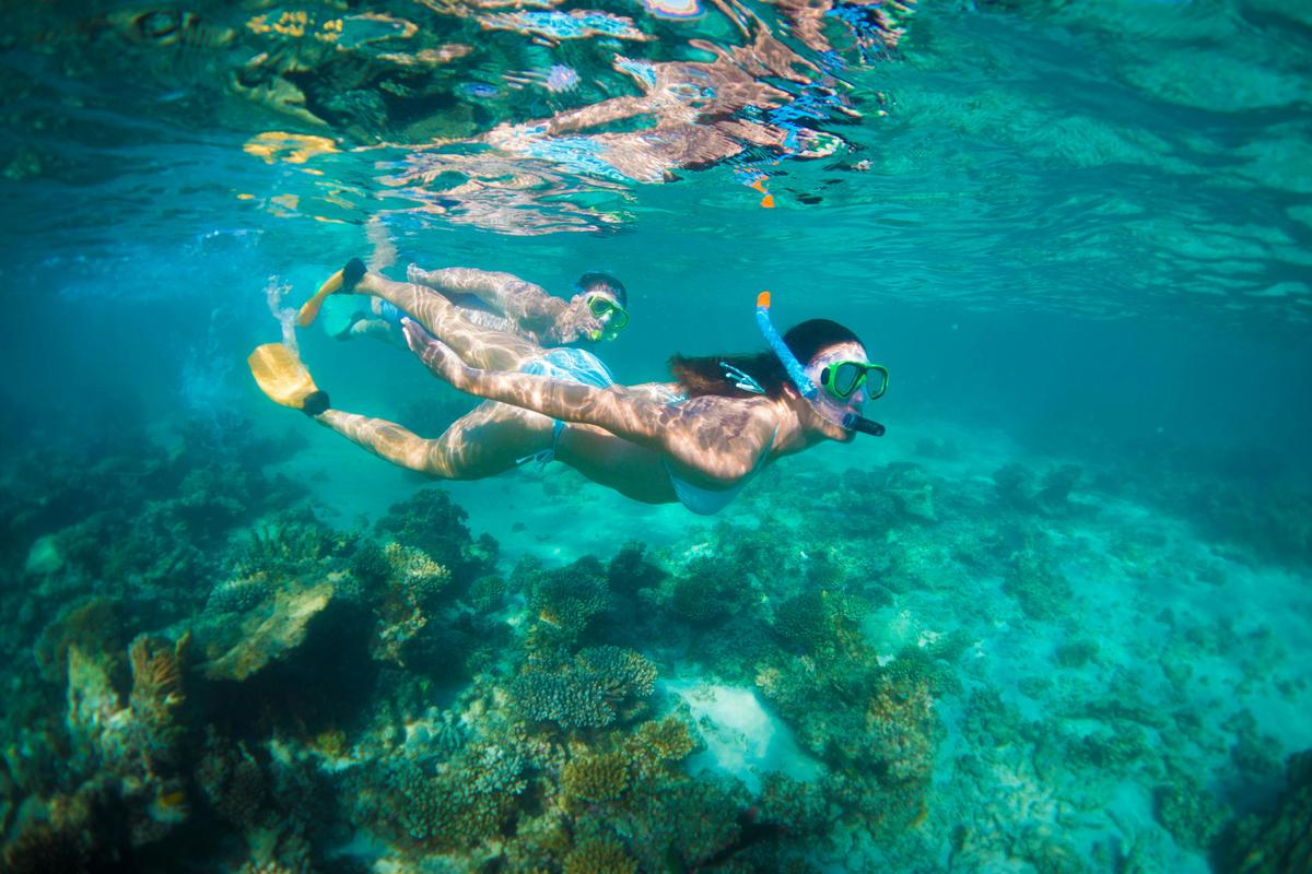 Snorkelling in the Ningaloo Reef Lagoon