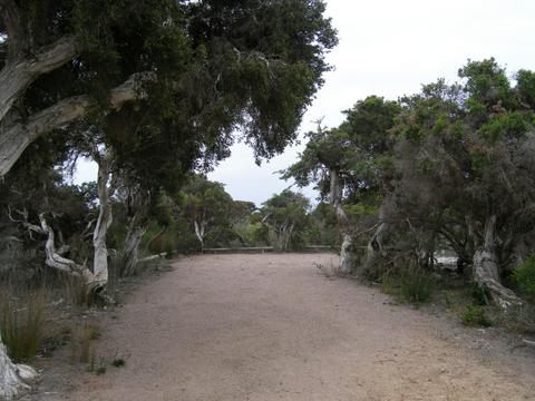 Seal Creek Campground