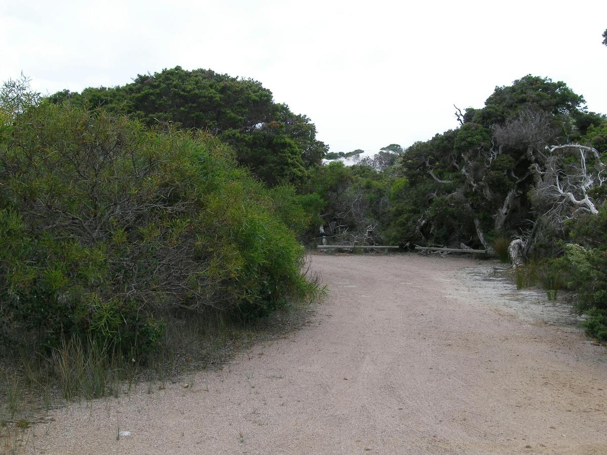 Seal Creek Campground
