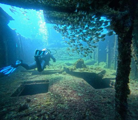 Rottnest Island Double Dive