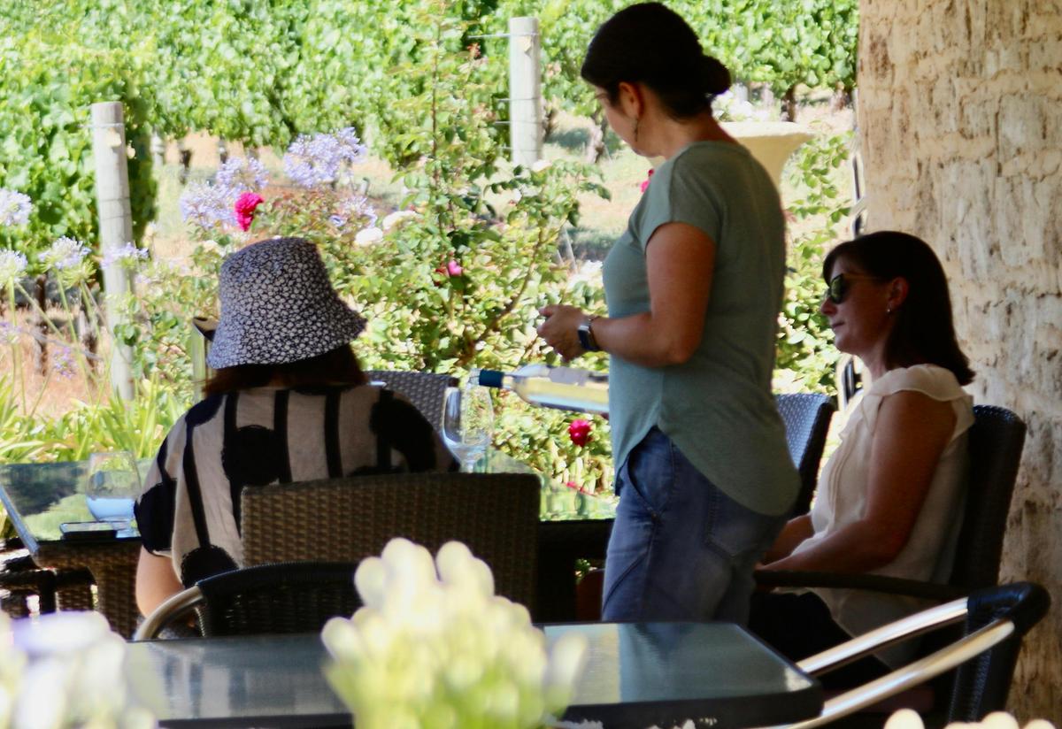 Tour guests enjoying wine tasting with views over the vineyard