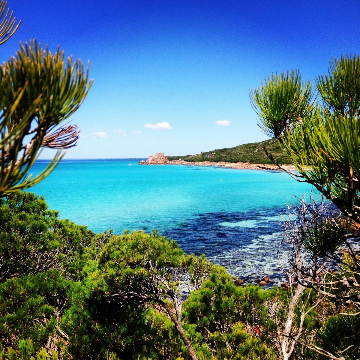 Coastal and Wildlife Eco Tour