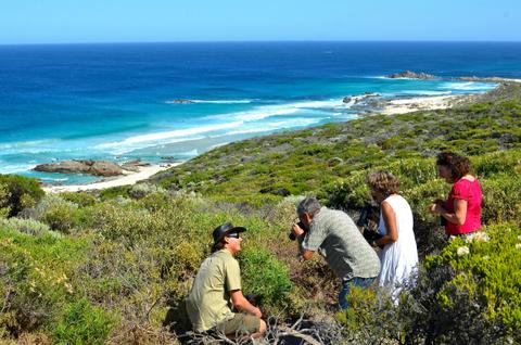 Coastal and Wildlife Eco Tour