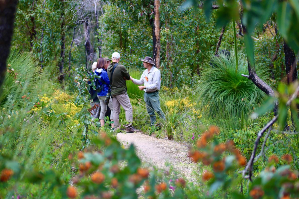 Wildflower bushwalk