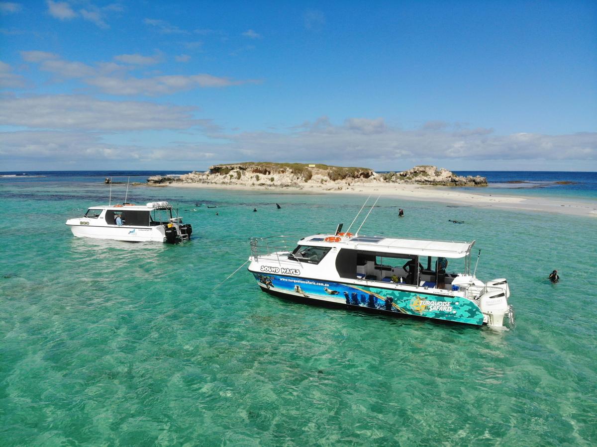 Sea Lion Tour