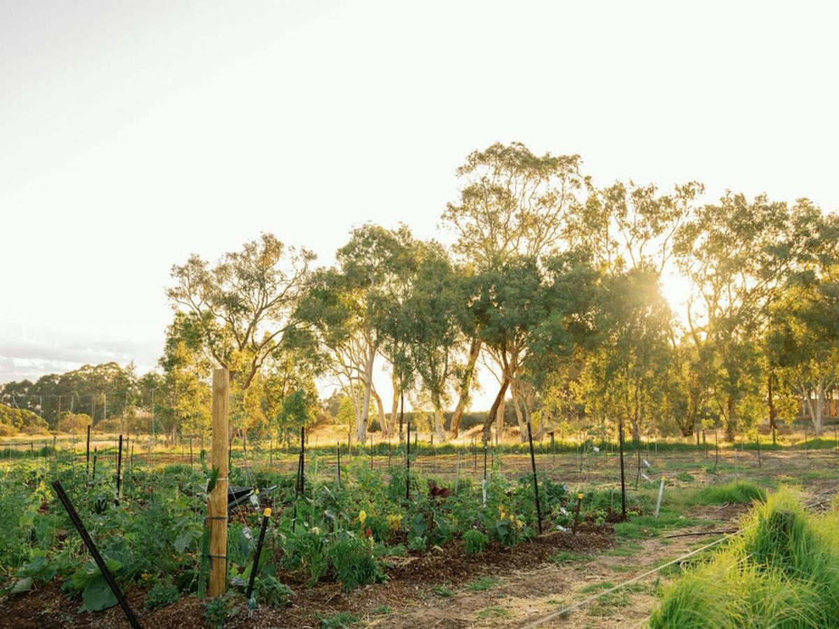11 Acre Farm