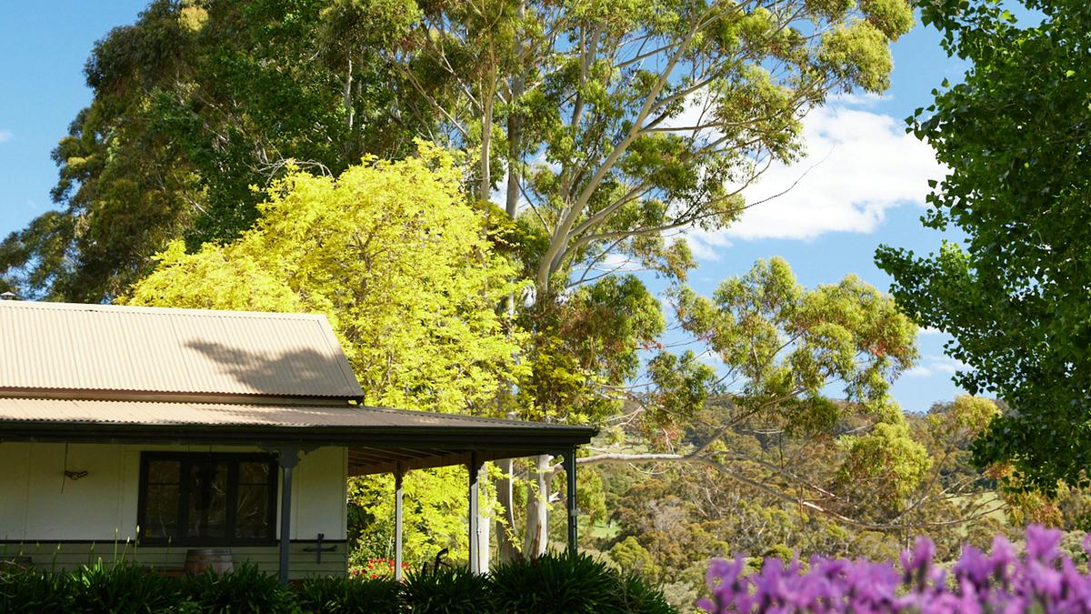 Rockcliffe Vineyard