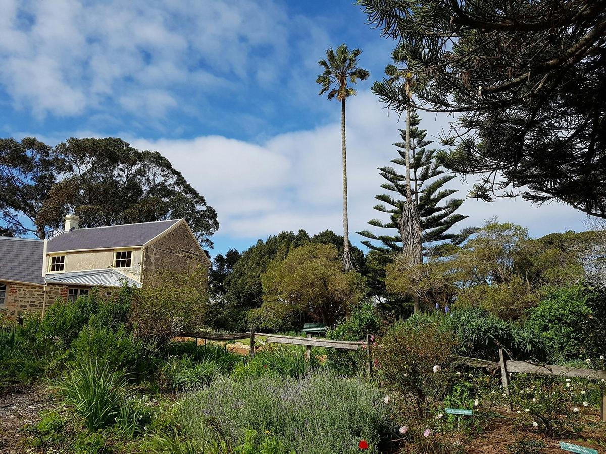 Old Farm, Strawberry Hill looking north-east