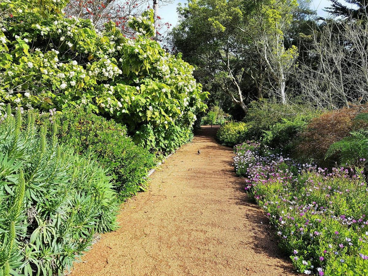 Looking south down the garden path (entrace way) at Old Farm, Strawberry Hill