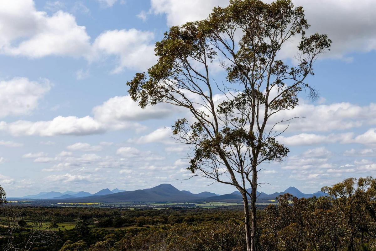 Sukey Hill Lookout
