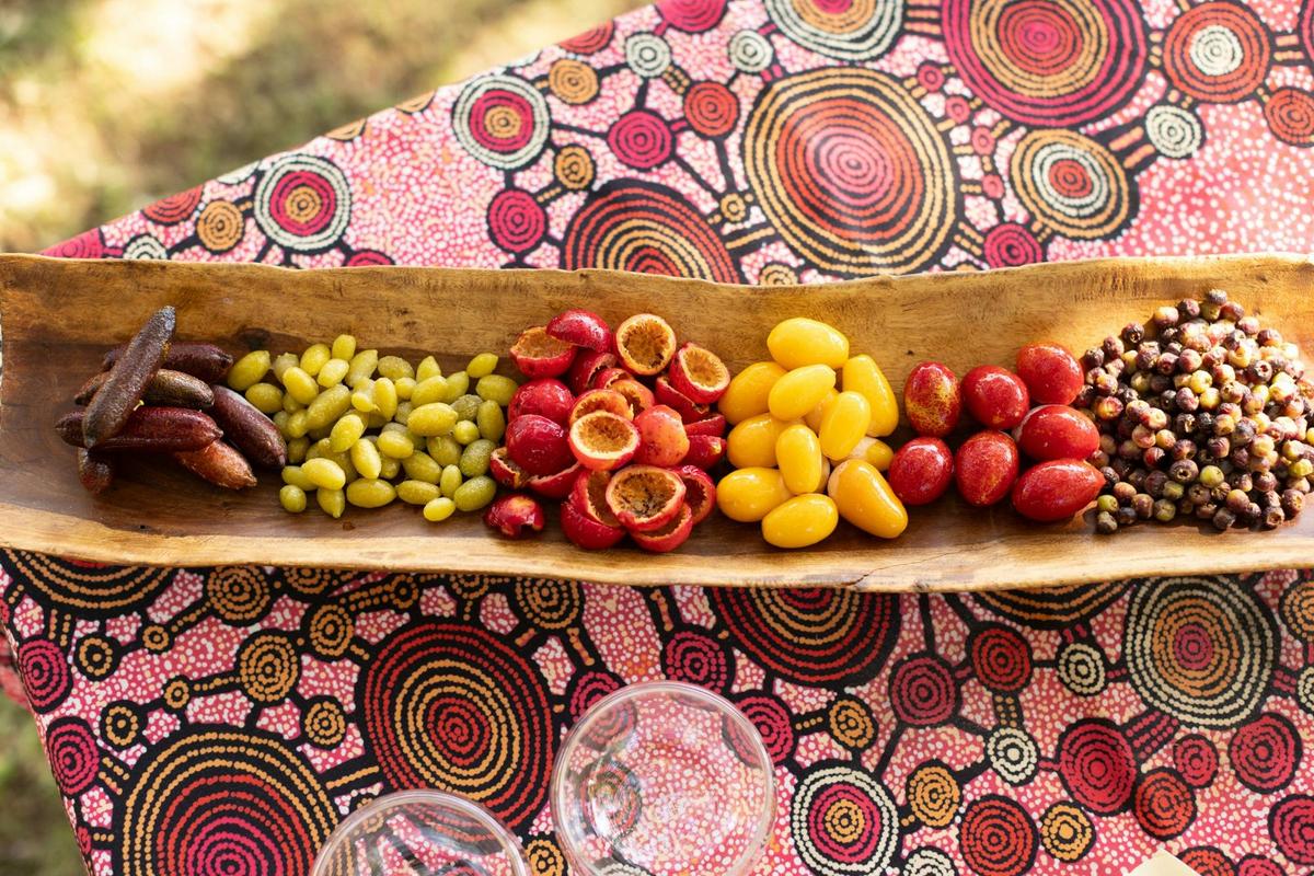 Bush Tucker