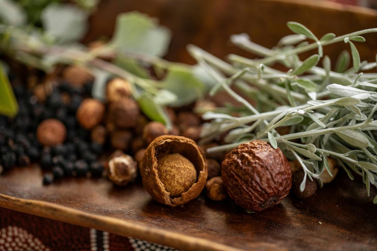 Bush Tucker