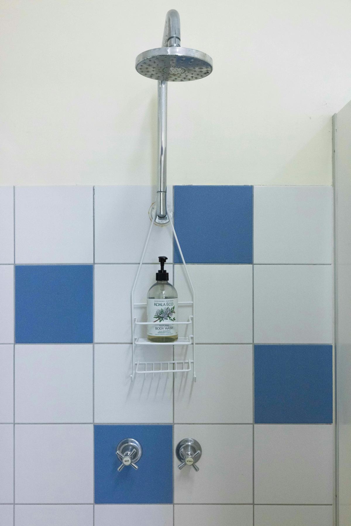 Shower recess
