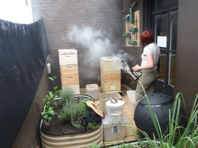 The Urban Beehive Port Botany