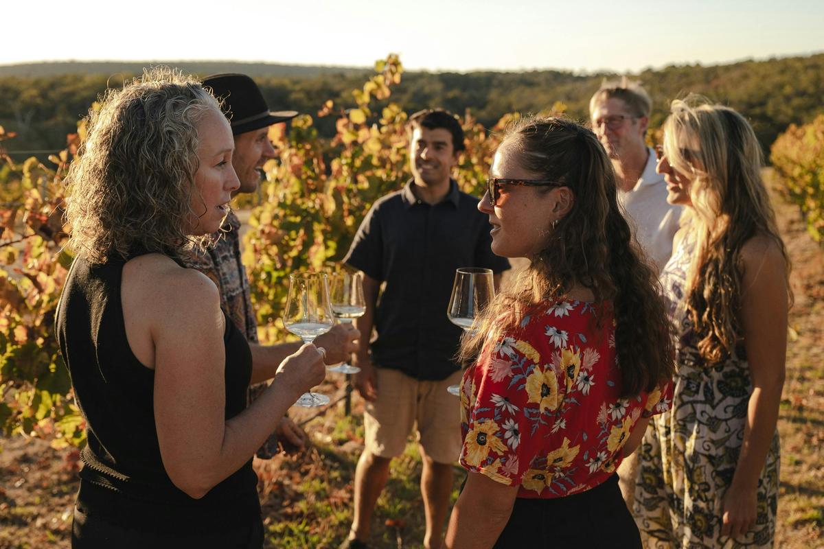 private wine tour