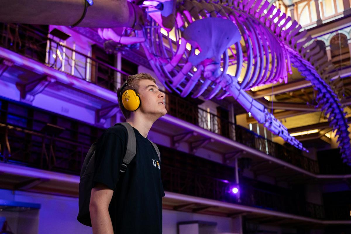 A young person is looking up at a blue whale skeleton