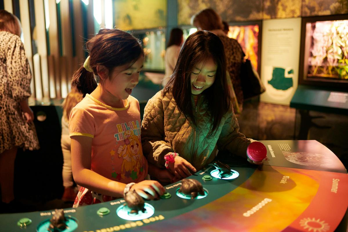 Two children are interacting with a display
