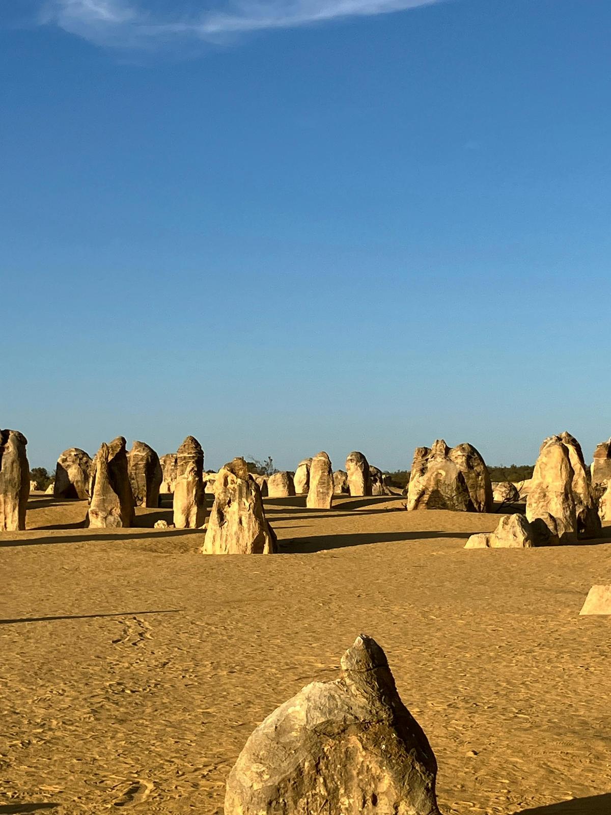 Pinnacles Desert and catch your own lobster lunch safari