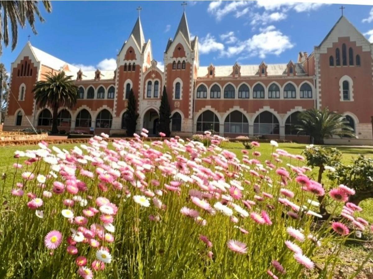 Wildflowers, Canola Fields and Historic New Norcia Day Tour